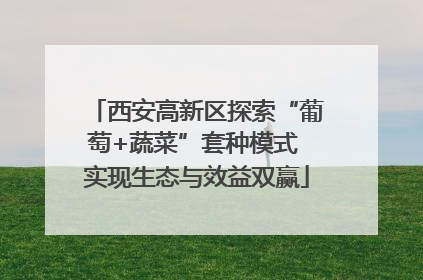 西安高新区探索“葡萄+蔬菜”套种模式 实现生态与效益双赢