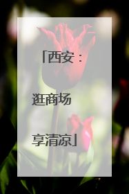 西安：逛商场 享清凉