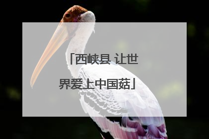 西峡县 让世界爱上中国菇