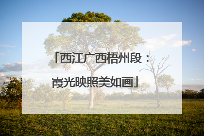 西江广西梧州段：霞光映照美如画