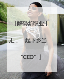 解码新职业丨走，一起下乡当“CEO”