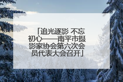 追光逐影 不忘初心——南平市摄影家协会第六次会员代表大会召开