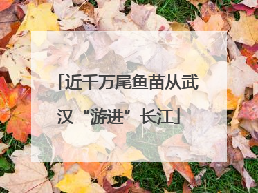 近千万尾鱼苗从武汉“游进”长江