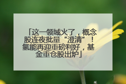 这一领域火了，概念股连夜批量“澄清”！氢能再迎重磅利好，基金重仓股出炉