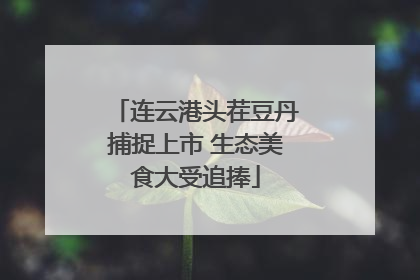 连云港头茬豆丹捕捉上市 生态美食大受追捧