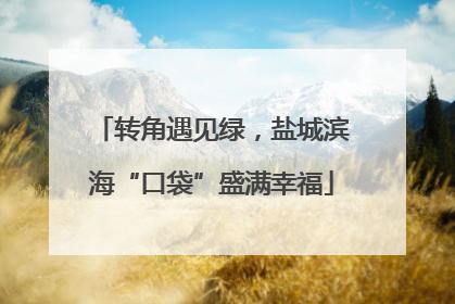 转角遇见绿，盐城滨海“口袋”盛满幸福