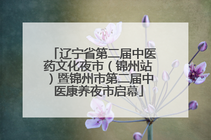 辽宁省第二届中医药文化夜市（锦州站）暨锦州市第二届中医康养夜市启幕