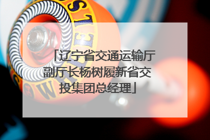 辽宁省交通运输厅副厅长杨树履新省交投集团总经理