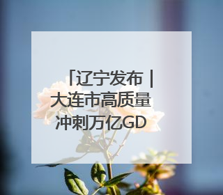 辽宁发布｜大连市高质量冲刺万亿GDP城市
