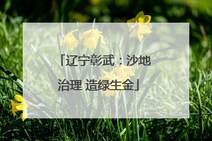 辽宁彰武：沙地治理 造绿生金
