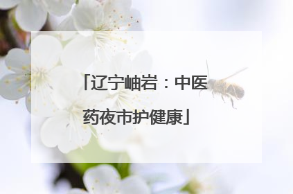辽宁岫岩：中医药夜市护健康