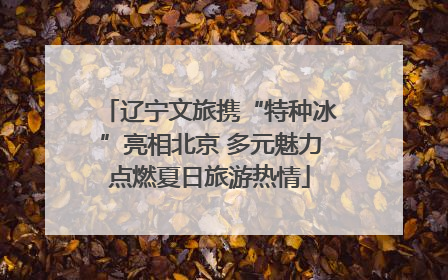 辽宁文旅携“特种冰”亮相北京 多元魅力点燃夏日旅游热情