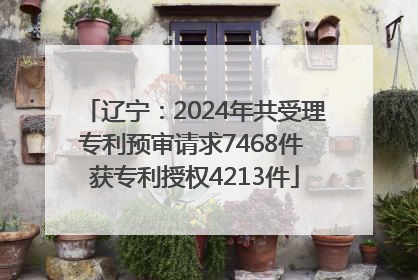 辽宁：2024年共受理专利预审请求7468件 获专利授权4213件