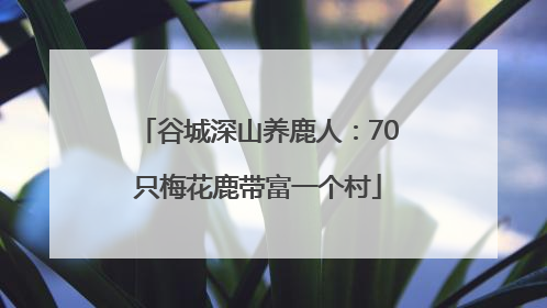 谷城深山养鹿人：70只梅花鹿带富一个村