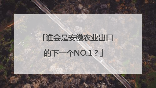谁会是安徽农业出口的下一个NO.1？