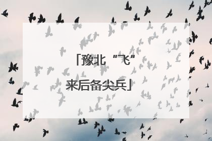 豫北“飞”来后备尖兵
