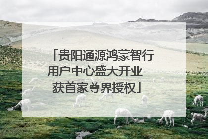 贵阳通源鸿蒙智行用户中心盛大开业 获首家尊界授权