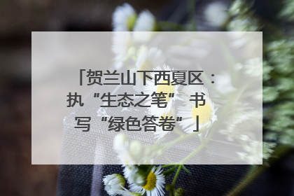 贺兰山下西夏区：执“生态之笔” 书写“绿色答卷”