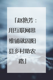 赵艳芳：用互联网思维铺就固阳县乡村助农路