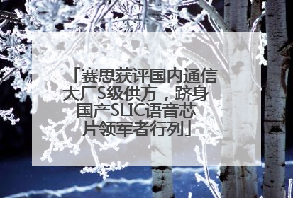 赛思获评国内通信大厂S级供方，跻身国产SLIC语音芯片领军者行列