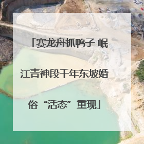 赛龙舟抓鸭子 岷江青神段千年东坡婚俗“活态”重现