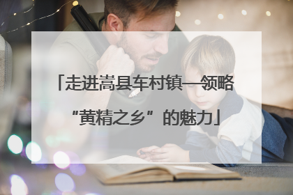 走进嵩县车村镇—领略“黄精之乡”的魅力