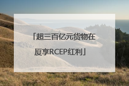 超三百亿元货物在厦享RCEP红利