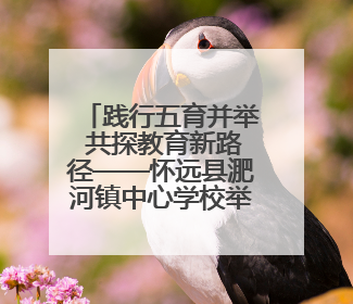 践行五育并举 共探教育新路径——怀远县淝河镇中心学校举行中小学、幼儿园班主任论坛活动