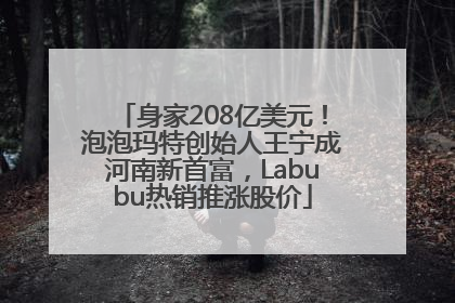 身家208亿美元！泡泡玛特创始人王宁成河南新首富，Labubu热销推涨股价