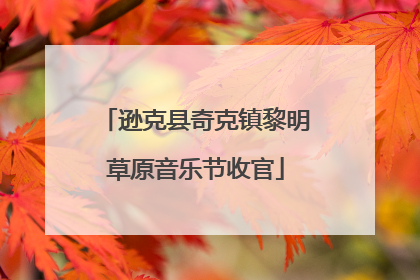 逊克县奇克镇黎明草原音乐节收官