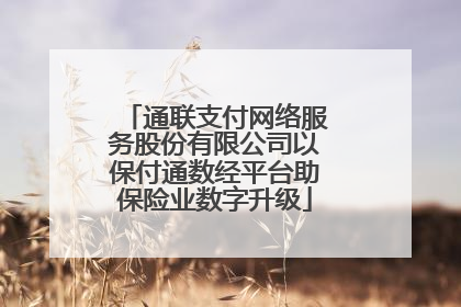 通联支付网络服务股份有限公司以保付通数经平台助保险业数字升级