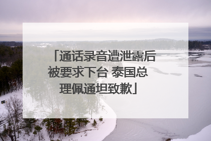 通话录音遭泄露后被要求下台 泰国总理佩通坦致歉