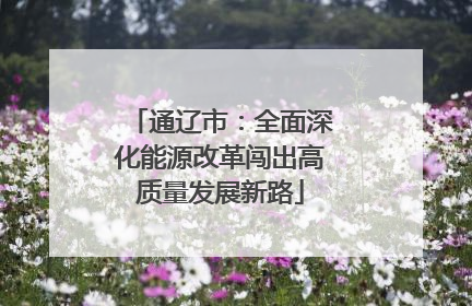通辽市：全面深化能源改革闯出高质量发展新路