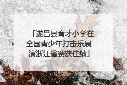 遂昌县育才小学在全国青少年打击乐展演浙江省赛获佳绩