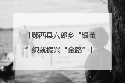 郧西县六郎乡“银茧”织就振兴“金路”