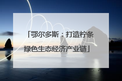 鄂尔多斯：打造柠条绿色生态经济产业链