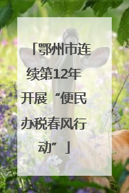 鄂州市连续第12年开展“便民办税春风行动”