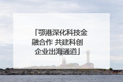 鄂港深化科技金融合作 共建科创企业出海通道