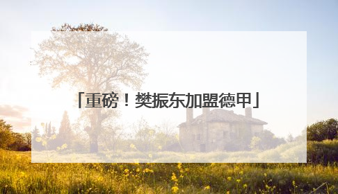 重磅！樊振东加盟德甲