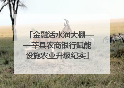 金融活水润大棚——莘县农商银行赋能设施农业升级纪实