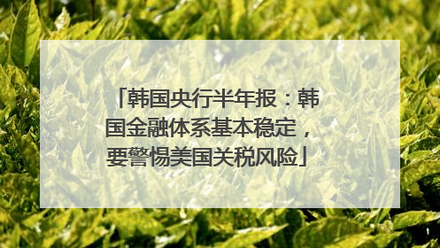 韩国央行半年报：韩国金融体系基本稳定，要警惕美国关税风险