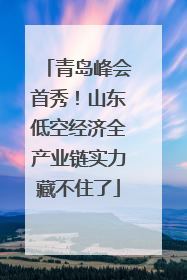 青岛峰会首秀！山东低空经济全产业链实力藏不住了