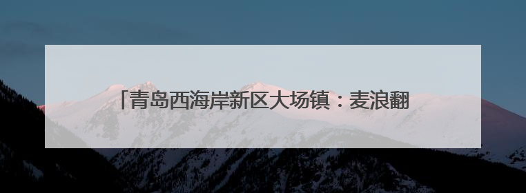 青岛西海岸新区大场镇：麦浪翻滚穗飘香 守护粮安好“丰景”