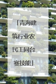 青海建筑行业农民工同台赛技能