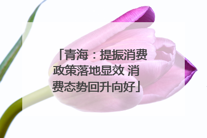 青海：提振消费政策落地显效 消费态势回升向好