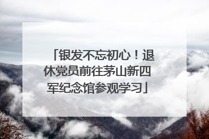 银发不忘初心！退休党员前往茅山新四军纪念馆参观学习
