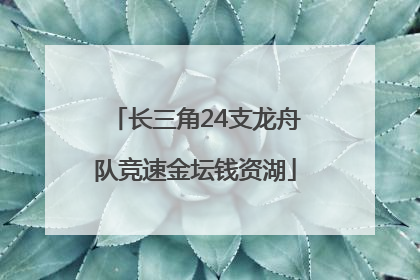 长三角24支龙舟队竞速金坛钱资湖