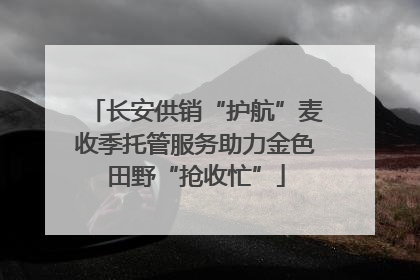 长安供销“护航”麦收季托管服务助力金色田野“抢收忙”