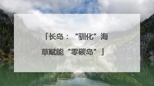 长岛：“驯化”海草赋能“零碳岛”