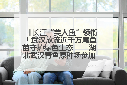 长江“美人鱼”领衔！武汉放流近千万尾鱼苗守护绿色生态——湖北武汉青鱼原种场参加2025年“全国放鱼日”增殖放流活动